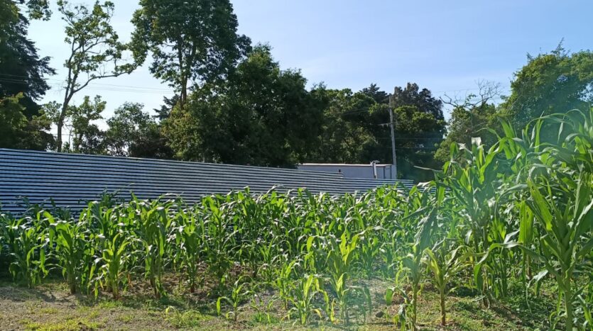 Terreno en Venta – Km. 28 Carretera a El Salvador, a orilla de carretera